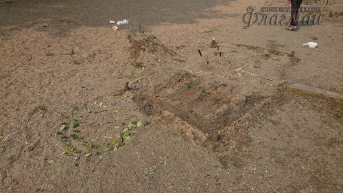 DSC_20220808111816_0249